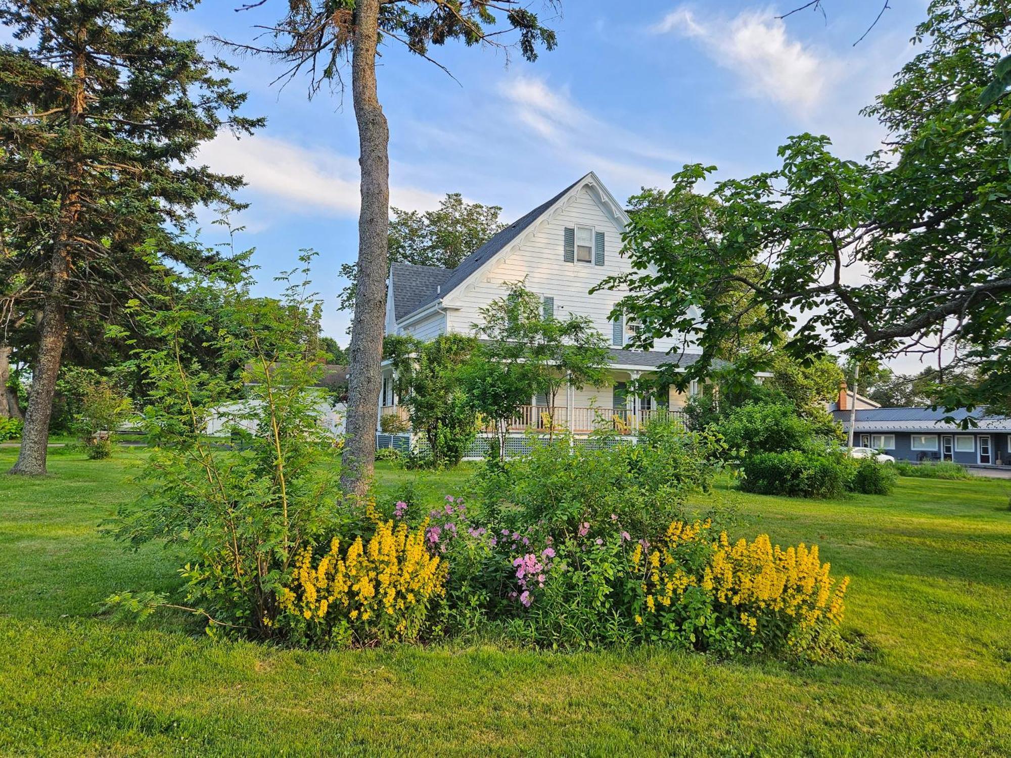 Sunflower Guest Suites Summerside Exterior photo